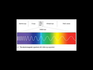 White Light Refracted by a Prism.
 