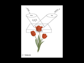 ADDITIVE COLOR
PROCESS
The mixing of colored lights so that they
shine on a surface, they combine (add) to
make other colors.
 