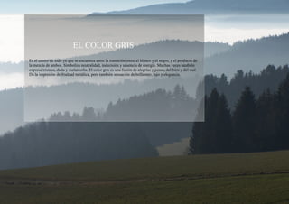 EL COLOR GRIS Es el centro de todo ya que se encuentra entre la transición entre el blanco y el negro, y el producto de la mezcla de ambos. Simboliza neutralidad, indecisión y ausencia de energía. Muchas veces también expresa tristeza, duda y melancolía. El color gris es una fusión de alegrías y penas, del bien y del mal. Da la impresión de frialdad metálica, pero también sensación de brillantez, lujo y elegancia. 