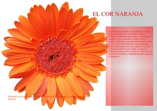 EL COR NARANJA Es un poco mas cálido que el amarillo y actúa como estimulante de los tímidos, tristes o linfáticos. Simboliza entusiasmo y exaltación y cuando es muy encendido o rojizo, ardor y pasión. Utilizado en pequeñas extensiones o con acento, es un color utilisimo, pero en grandes áreas es demasiado atrevido y puede crear una impresión impulsiva que puede ser agresiva. Posee una fuerza activa, radiante y expresiva, de carácter estimulante y cualidad dinámica positiva y energética. Mezclado con el negro sugiere engaño, conspiración e intolerancia y cuando es muy oscuro , opresión. 