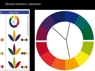 Opuestos divididos o  adyacentes 