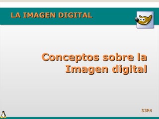 LA IMAGEN DIGITAL




      Conceptos sobre la
         Imagen digital


                      S3R4
 