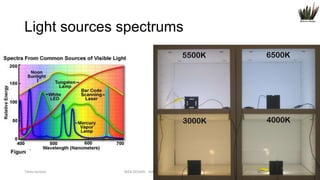 Light sources spectrums

Titolo lezione

WEB DESIGN NABA 2014 Roberto DADDA

9

 