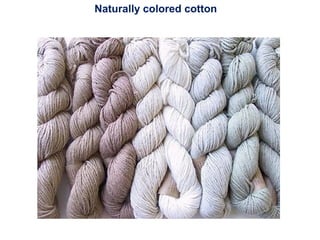 Naturally colored cotton
 
