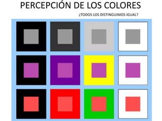 PERCEPCIÓN DE LOS COLORES
¿TODOS LOS DISTINGUIMOS IGUAL?
 