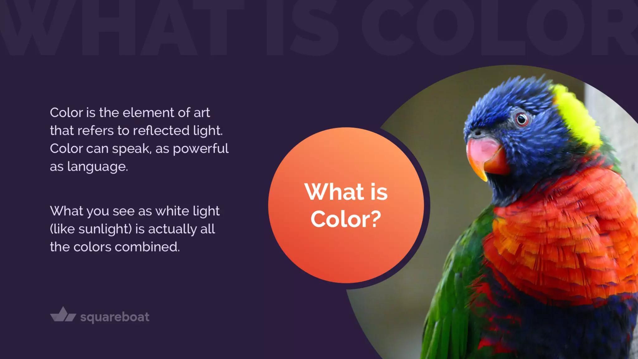 Color Theory