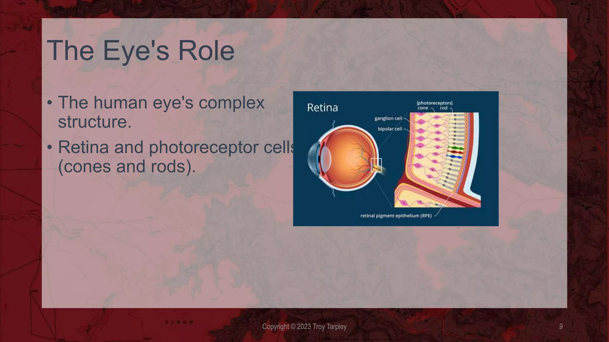 The Eye's Role
• The human eye's complex
structure.
• Retina and photoreceptor cells
(cones and rods).
Copyright © 2023 Troy Tarpley 9
 