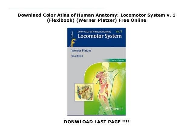 human anatomy atlas online human anatomy atlas online