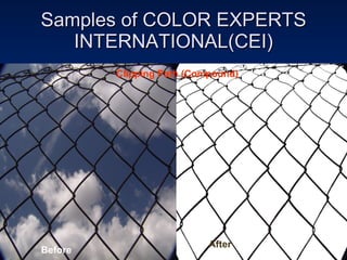 Samples of COLOR EXPERTS INTERNATIONAL(CEI) Before After Clipping Path (Compound) 