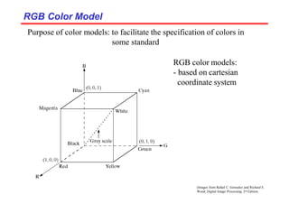 Rgb Color Processsing Color-in-Digital-Image-Processing.pptx