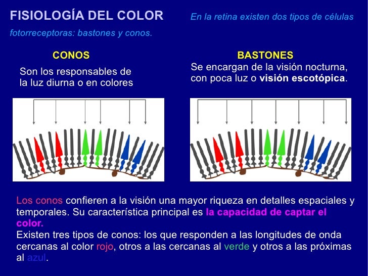 Color 1