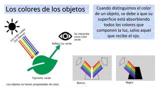 Cuando distinguimos el color
de un objeto, se debe a que su
superficie está absorbiendo
todos los colores que
componen la luz, salvo aquel
que recibe el ojo.
Blanco Negro
Los colores de los objetos
Los objetos no tienen propiedades de color.
 