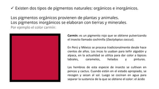 ✓ Existen dos tipos de pigmentos naturales: orgánicos e inorgánicos.
Los pigmentos orgánicos provienen de plantas y animales.
Los pigmentos inorgánicos se elaboran con tierras y minerales.
Por ejemplo el color carmín:
Carmín: es un pigmento rojo que se obtiene pulverizando
el insecto llamado cochinilla (Dactylopius coccus).
En Perú y México se procesa tradicionalmente desde hace
cientos de años. Los incas lo usaban para teñir algodón y
alpaca, en la actualidad se utiliza para dar color a lápices
labiales, caramelos, helados y pinturas.
Las hembras de esta especie de insecto se cultivan en
pencas y cactus. Cuando están en el estado apropiado, se
recogen y secan al sol. Luego se cocinan en agua para
separar la sustancia de la que se obtiene el color: el ácido
 