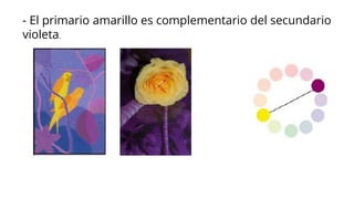 - El primario amarillo es complementario del secundario
violeta.
 