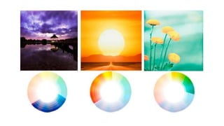 COLOR (1).pdf