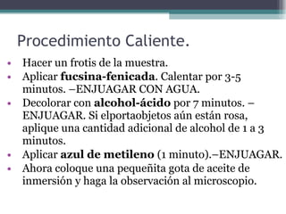 Procedimiento Caliente. Hacer un frotis de la muestra. Aplicar  fucsina-fenicada . Calentar por 3-5 minutos. – ENJUAGAR CON AGUA. Decolorar con  alcohol-ácido  por 7 minutos.  –ENJUAGAR.  Si elportaobjetos aún están rosa, aplique una cantidad adicional de alcohol de 1 a 3 minutos. Aplicar  azul de metileno  (1 minuto). –ENJUAGAR. Ahora coloque una pequeñita gota de aceite de inmersión y haga la observación al microscopio. 