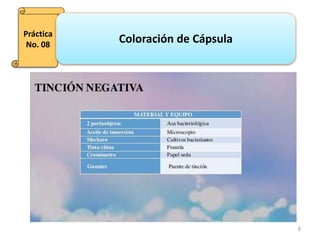 8
Práctica
No. 08
Coloración de Cápsula
 
