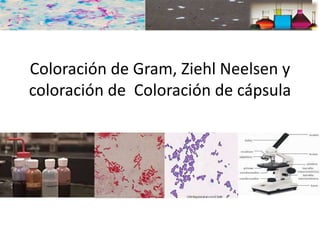 Coloración de Gram, Ziehl Neelsen y
coloración de Coloración de cápsula
 