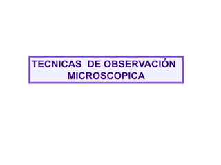TECNICAS DE OBSERVACIÓN
MICROSCOPICA
 