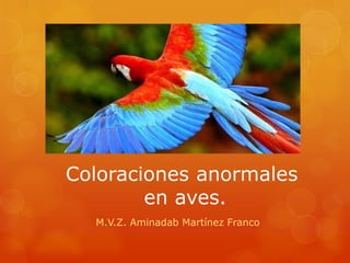Coloraciones anormales
en aves.
M.V.Z. Aminadab Martínez Franco

 