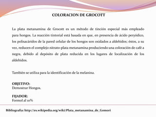 La plata metanamina de Grocott es un método de tinción especial más empleado
para hongos. La reacción tintorial está basada en que, en presencia de ácido peryódico,
los polisacáridos de la pared celular de los hongos son oxidados a aldehídos; éstos, a su
vez, reducen el complejo nitrato-plata metanamina produciendo una coloración de café a
negra, debido al depósito de plata reducida en los lugares de localización de los
aldehídos.
También se utiliza para la identificación de la melanina.
OBJETIVO:
Demostrar Hongos.
FIJADOR:
Formol al 10%
COLORACION DE GROCOTT
Bibliografía: http://es.wikipedia.org/wiki/Plata_metanamina_de_Gomori
 