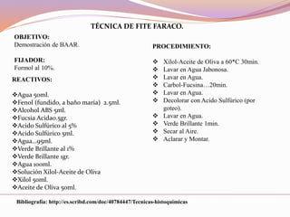 OBJETIVO:
Demostración de BAAR.
FIJADOR:
Formol al 10%.
REACTIVOS:
Agua 50ml.
Fenol (fundido, a baño maría) 2.5ml.
Alcohol ABS 5ml.
Fucsia Acida0.5gr.
Acido Sulfúrico al 5%
Acido Sulfúrico 5ml.
Agua…95ml.
Verde Brillante al 1%
Verde Brillante 1gr.
Agua 100ml.
Solución Xilol-Aceite de Oliva
Xilol 50ml.
Aceite de Oliva 50ml.
TÉCNICA DE FITE FARACO.
PROCEDIMIENTO:
 Xilol-Aceite de Oliva a 60*C 30min.
 Lavar en Agua Jabonosa.
 Lavar en Agua.
 Carbol-Fucsina…20min.
 Lavar en Agua.
 Decolorar con Acido Sulfúrico (por
goteo).
 Lavar en Agua.
 Verde Brillante 1min.
 Secar al Aire.
 Aclarar y Montar.
Bibliografía: http://es.scribd.com/doc/40784447/Tecnicas-histoquimicas
 