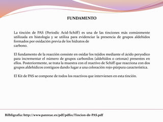 FUNDAMENTO
La tinción de PAS (Periodic Acid-Schiff) es una de las tinciones más comúnmente
utilizada en histología y se utiliza para evidenciar la presencia de grupos aldehídos
formados por oxidación previa de los hidratos de
carbono.
El fundamento de la reacción consiste en oxidar los tejidos mediante el ácido peryodico
para incrementar el número de grupos carbonilos (aldehídos o cetonas) presentes en
ellos. Posteriormente, se trata la muestra con el reactivo de Schiff que reacciona con dos
grupos aldehídicos contiguos dando lugar a una coloración rojo-púrpura característica.
El Kit de PAS se compone de todos los reactivos que intervienen en esta tinción.
Bilbligrafía: http://www.panreac.es/pdf/pdf01/Tincion-de-PAS.pdf
 
