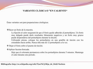 VARIANTE CLÁSICA O "EN CALIENTE“
Éstas variantes son para preparaciones citológicas.
Hacer un frotis de la muestra.
La fijación al calor asegurará de que el frotis quede adherido al portaobjetos. Un frotis
muy delgado puede darle resultados falsamente negativos y un frotis muy grueso
puede desprenderse del portaobjetos durante la tinción.
Utilizando pinzas, coloque los portaobjetos en una gradilla de tinción con los
extendidos hacia arriba. Nunca tiña más de 12 portaobjetos a la vez.
 Dejar el frotis sobre el puente de tinción.
Aplicar fucsina-fenicada.
Deje que el colorante permanezca sobre los portaobjetos durante 5 minutos. Mantenga
el calor durante este período.
Bibliografía: http://es.wikipedia.org/wiki/Tinci%C3%B3n_de_Ziehl-Neelsen
 