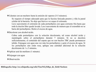 Calentar con un mechero hasta la emisión de vapores (3-5 minutos).
Se requiere el tiempo adecuado para que la fucsina fenicada penetre y tiña la pared
celular de la bacteria. No deje que hierva o se seque el colorante.
Lave suavemente el colorante de cada portaobjetos con agua corriente fría hasta que
toda la tinción libre quede lavada. Lave suavemente de manera que el extendido no se
barra del portaobjetos. Retire el exceso de agua.
Decolorar con alcohol-ácido.
Cubra cada portaobjetos con la solución decolorante, tal como alcohol ácido y
manténgalo sobre el portaobjetos durante 7 minutos. Si no se decolora
suficientemente, el contenido del esputo que no son bacilos TBC puede permanecer
teñido. Enjuague con agua una vez más los portaobjetos y quite el exceso de agua. Si
los portaobjetos aún están rosa, aplique una cantidad adicional de la solución
decolorante de 1 a 3 minutos.
Aplicar azul de metileno (1 minuto).
Enjuagar con agua
Observación
Bibliografía: http://es.wikipedia.org/wiki/Tinci%C3%B3n_de_Ziehl-Neelsen
 