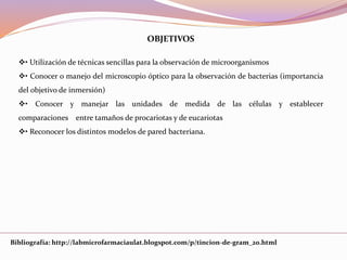 OBJETIVOS
• Utilización de técnicas sencillas para la observación de microorganismos
• Conocer o manejo del microscopio óptico para la observación de bacterias (importancia
del objetivo de inmersión)
• Conocer y manejar las unidades de medida de las células y establecer
comparaciones entre tamaños de procariotas y de eucariotas
• Reconocer los distintos modelos de pared bacteriana.
Bibliografía: http://labmicrofarmaciaulat.blogspot.com/p/tincion-de-gram_20.html
 