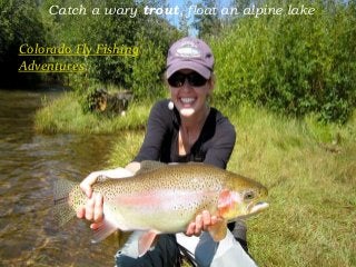 Catch a wary trout, float an alpine lake
Colorado Fly Fishing
Adventures
 