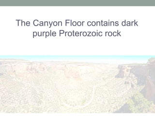 The Canyon Floor contains dark
    purple Proterozoic rock
 