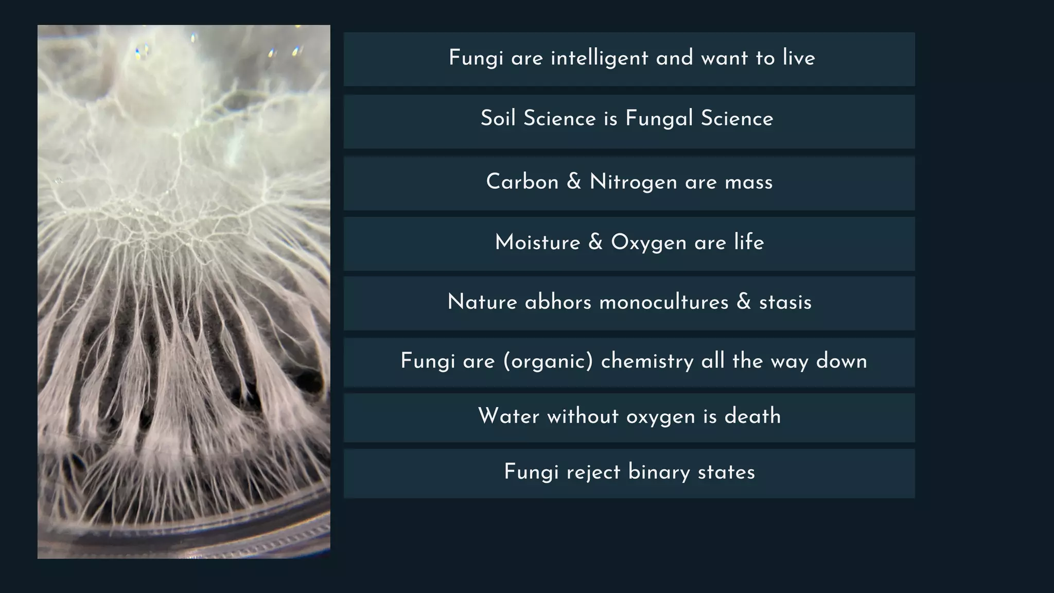 Fungi are intelligent and want to live
Nature abhors monocultures & stasis
Fungi are (organic) chemistry all the way down
Soil Science is Fungal Science
Carbon & Nitrogen are mass
Moisture & Oxygen are life
Water without oxygen is death
Fungi reject binary states
 