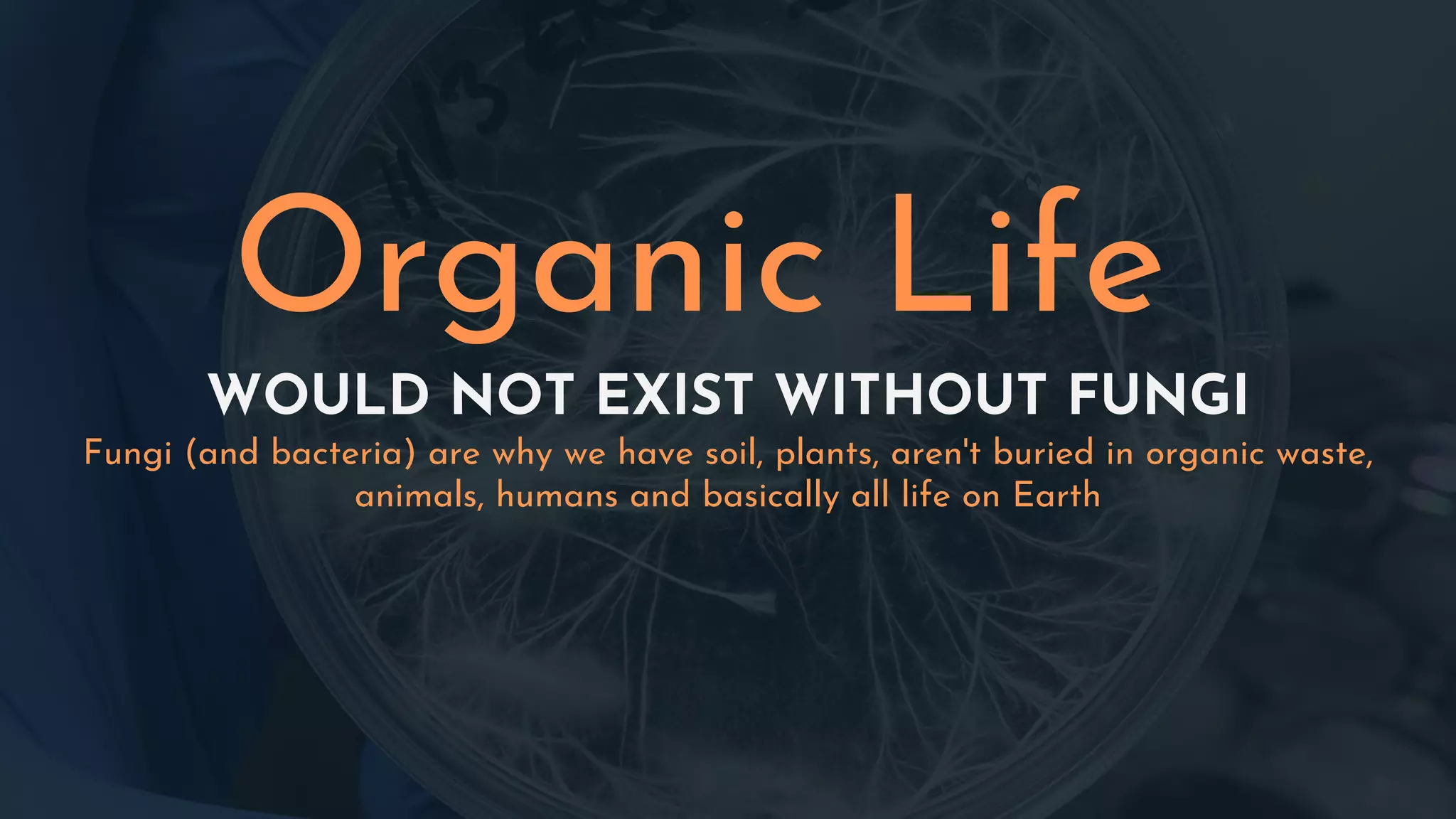 WOULD NOT EXIST WITHOUT FUNGI
Fungi (and bacteria) are why we have soil, plants, aren't buried in organic waste,
animals, humans and basically all life on Earth
Organic Life
 