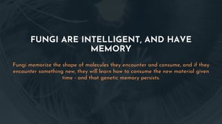 FUNGI ARE INTELLIGENT, AND HAVE
MEMORY
Fungi memorize the shape of molecules they encounter and consume, and if they
encounter something new, they will learn how to consume the new material given
time - and that genetic memory persists.
 