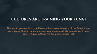 CULTURES ARE TRAINING YOUR FUNGI
The media you use directly influences the enzyme stomach of the Fungi, if you
use a source that is the same as say, your main substrate amendment in your
agar or liquid cultures the fungi remembers that.
 