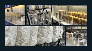 Zen & The Art of Mushroom Cultivation - 2022
