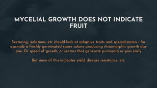 MYCELIAL GROWTH DOES NOT INDICATE
FRUIT
Sectoring, isolations, etc should look at adaptive traits and specialization - for
example a freshly germinated spore colony producing rhizomorphic growth day
one. Or speed of growth, or sectors that generate primordia or pins early
But none of this indicates yield, disease resistance, etc.
 