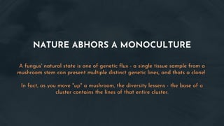 NATURE ABHORS A MONOCULTURE
A fungus' natural state is one of genetic flux - a single tissue sample from a
mushroom stem can present multiple distinct genetic lines, and thats a clone!
In fact, as you move "up" a mushroom, the diversity lessens - the base of a
cluster contains the lines of that entire cluster.
 