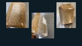 Zen & The Art of Mushroom Cultivation - 2022