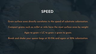 SPEED
Grain surface area directly correlates to the speed of substrate colonization.
Compact grains such as millet or milo have the most surface area by weight.
Agar to grain < LC to grain < grain to grain.
Break and shake your spawn bags at 10-15% and again at 50% colonization.
 