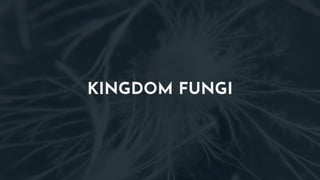 KINGDOM FUNGI
 