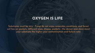 OXYGEN IS LIFE
Substrates must be airy - Fungi do not enjoy anaerobic conditions, and forest
soil has air pockets, different sizes, shapes, pockets - the denser and more moist
your substrate the higher your contamination and failure rate.
 