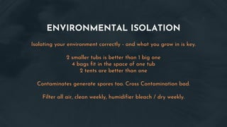 ENVIRONMENTAL ISOLATION
Isolating your environment correctly - and what you grow in is key.
2 smaller tubs is better than 1 big one
4 bags fit in the space of one tub
2 tents are better than one
Contaminates generate spores too. Cross Contamination bad.
Filter all air, clean weekly, humidifier bleach / dry weekly.
 