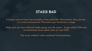 STASIS BAD
A fungi's natural home has humidity, temp and other fluctuations, they are not
in a static environment. Fluctuate your levels/use a range.
Make sure you have filtered intake going into the space - fungi exhale CO2 and
contamination loves dead, stale air and CO2.
Too much ambient water pooling? Contamination.
 