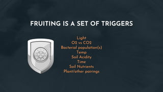 FRUITING IS A SET OF TRIGGERS
Light
O2 vs CO2
Bacterial population(s)
Temp
Soil Acidity
Time
Soil Nutrients
Plant/other pairings
 