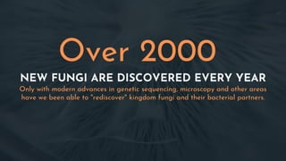NEW FUNGI ARE DISCOVERED EVERY YEAR
Only with modern advances in genetic sequencing, microscopy and other areas
have we been able to "rediscover" kingdom fungi and their bacterial partners.
Over 2000
 