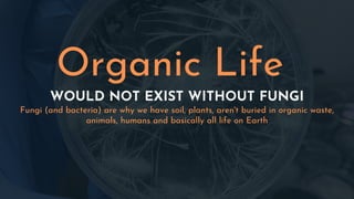 WOULD NOT EXIST WITHOUT FUNGI
Fungi (and bacteria) are why we have soil, plants, aren't buried in organic waste,
animals, humans and basically all life on Earth
Organic Life
 