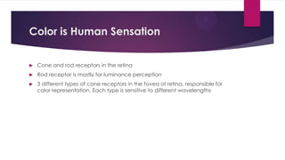 Color is Human Sensation
 Cone and rod receptors in the retina
 Rod receptor is mostly for luminance perception
 3 different types of cone receptors in the fovea of retina, responsible for
color representation. Each type is sensitive to different wavelengths
 