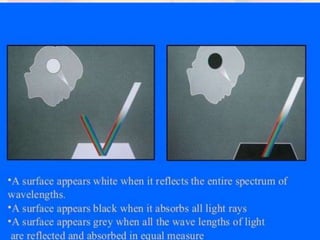 Color and shade matching | PPTX